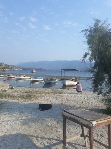 Fotoğraf 25