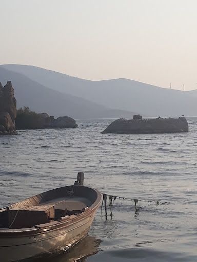 Fotoğraf 17