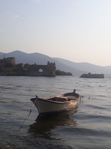 Fotoğraf 19