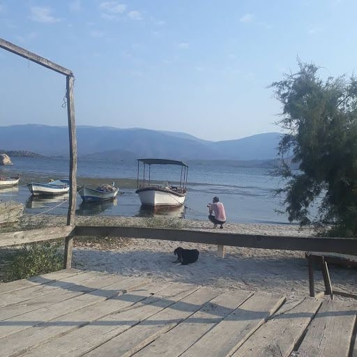 Fotoğraf 22