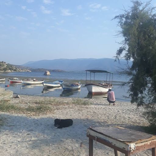 Fotoğraf 23