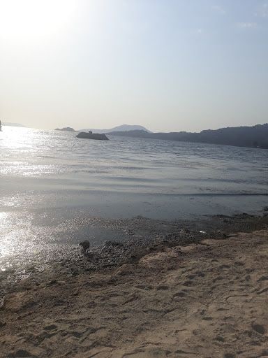 Fotoğraf 24
