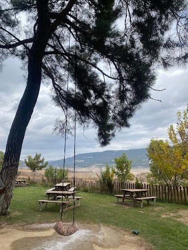 Fotoğraf 21