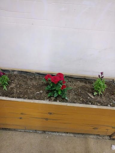 Fotoğraf 12