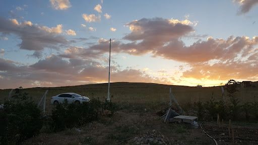 Yorum fotoğrafı 6