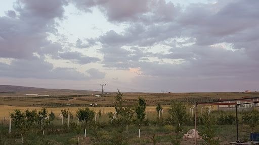 Yorum fotoğrafı 9