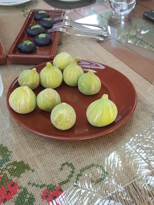 Fotoğraf 14