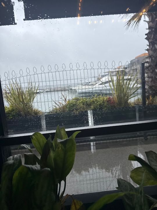 Fotoğraf 23