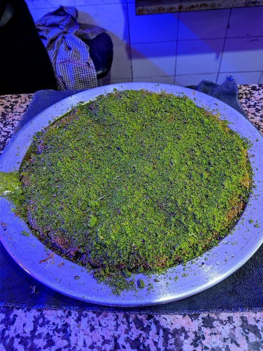 Fotoğraf 16