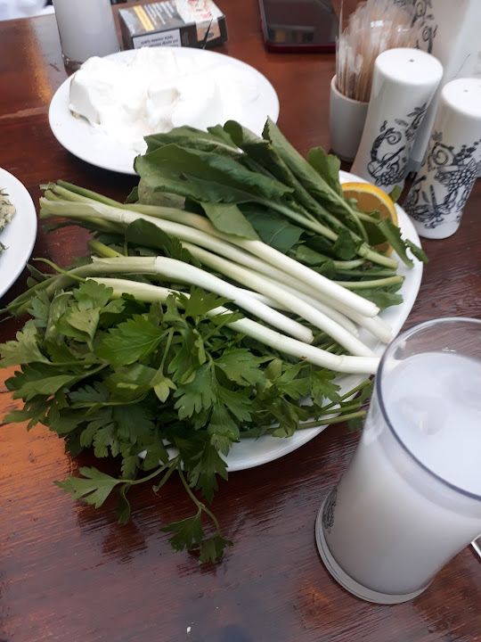 Fotoğraf 12