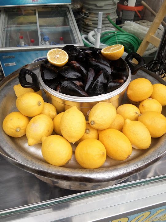 Fotoğraf 14