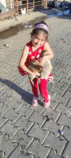 Yorum fotoğrafı 5