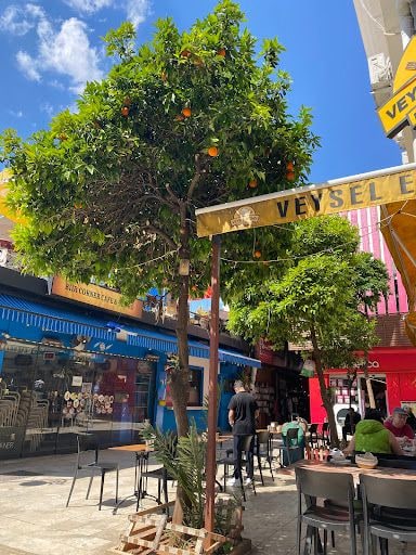 Fotoğraf 16