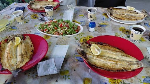 Fotoğraf 16