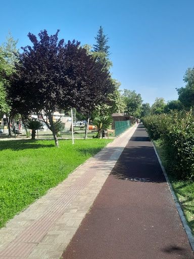 Yorum fotoğrafı 4
