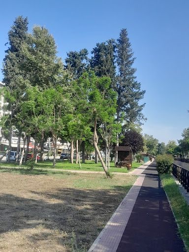 Yorum fotoğrafı 5