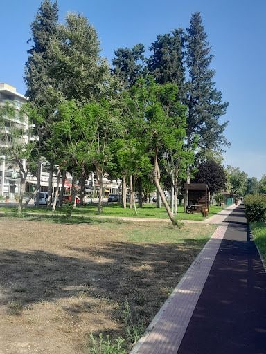 Yorum fotoğrafı 6