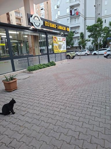 Fotoğraf 28