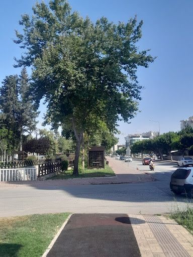 Yorum fotoğrafı 9