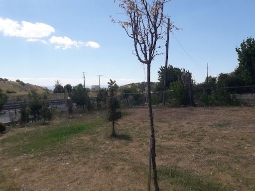 Yorum fotoğrafı 6