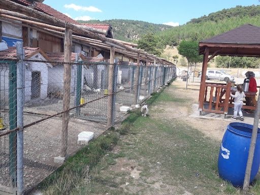 Yorum fotoğrafı 8