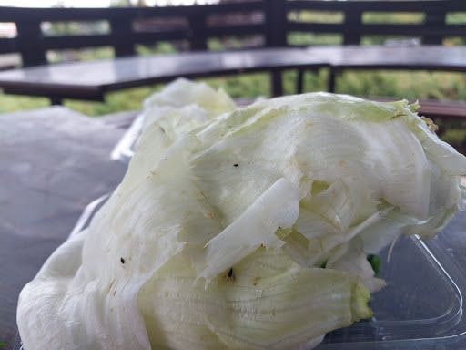Yorum fotoğrafı 3