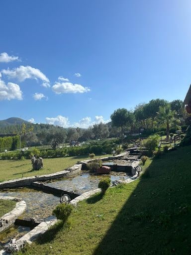 Fotoğraf 15