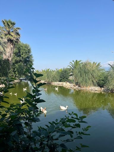 Fotoğraf 29