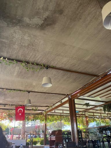 Fotoğraf 16