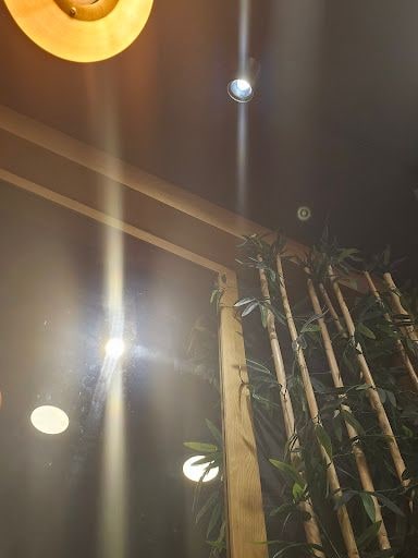 Yorum fotoğrafı 4