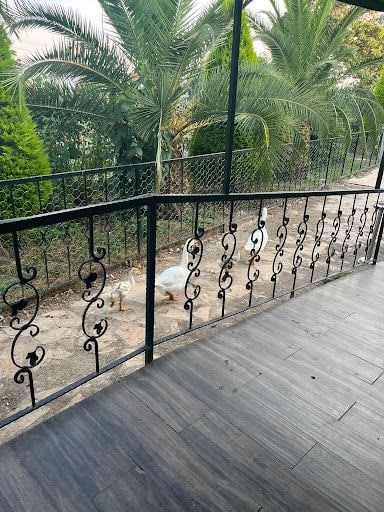 Fotoğraf 32