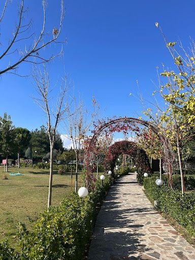 Fotoğraf 19