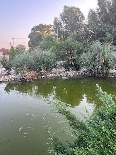 Fotoğraf 33