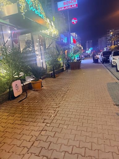 Yorum fotoğrafı 8