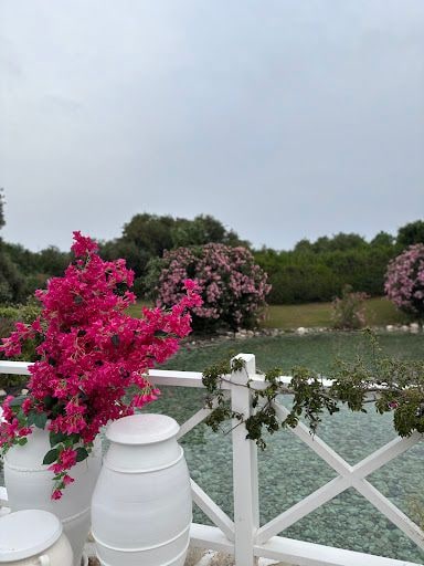Fotoğraf 14