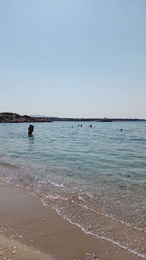 Fotoğraf 21