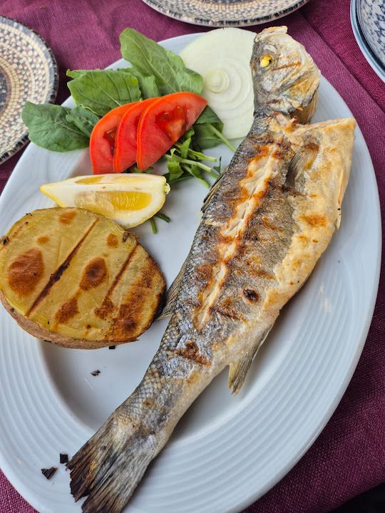 Fotoğraf 49