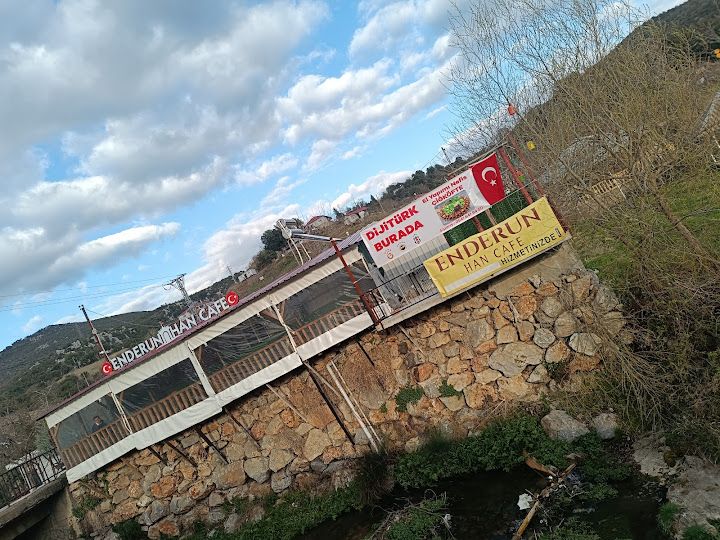 Fotoğraf 14