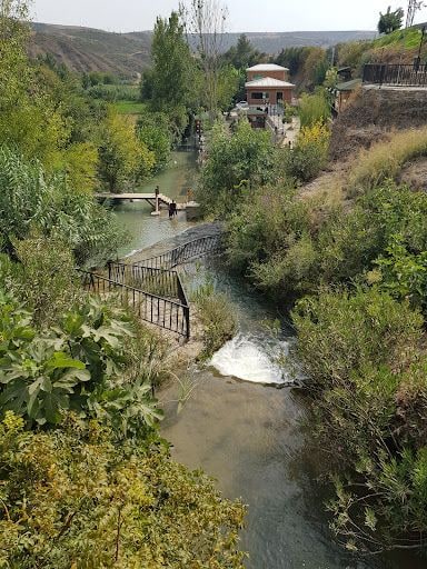 Yorum fotoğrafı 8