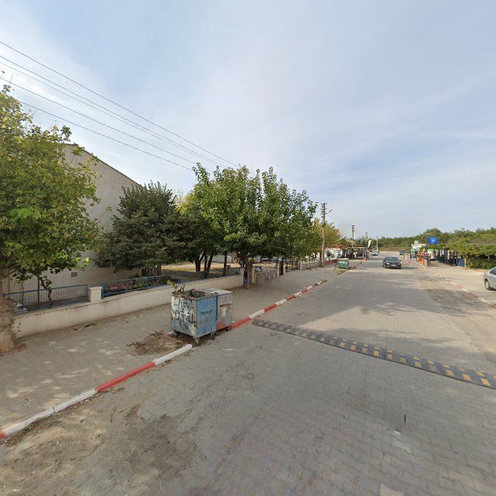 Fotoğraf 5