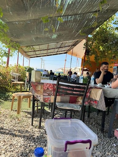 Fotoğraf 15