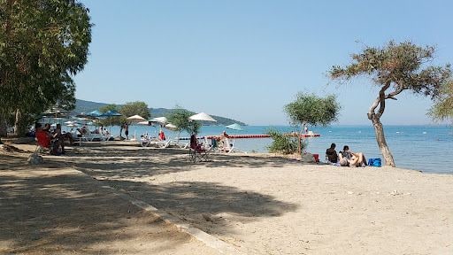 Fotoğraf 13