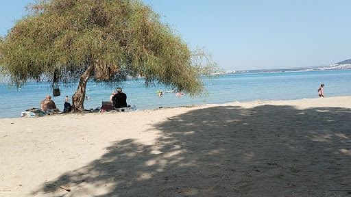 Fotoğraf 14