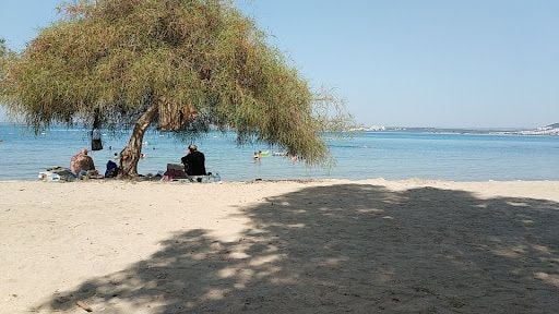 Fotoğraf 15