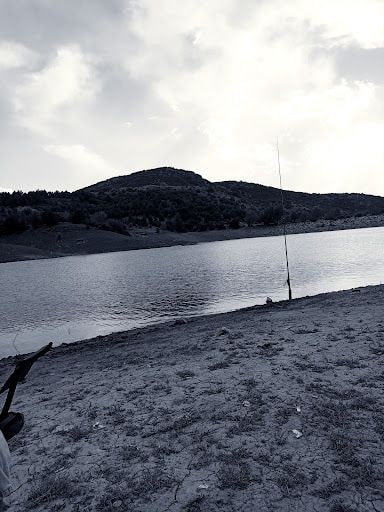 Yorum fotoğrafı 10