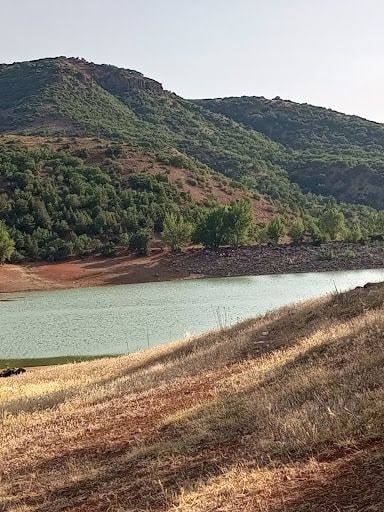Yorum fotoğrafı 5