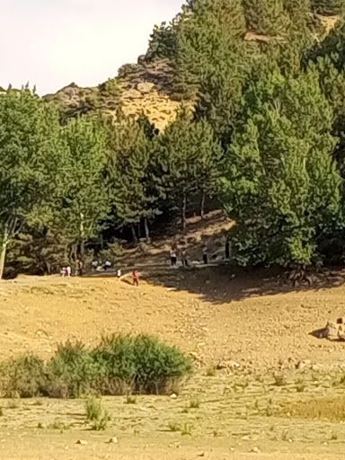 Yorum fotoğrafı 7