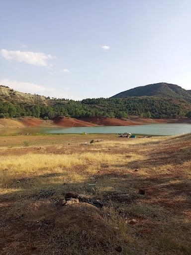 Yorum fotoğrafı 8
