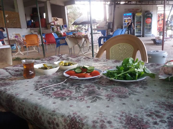 Fotoğraf 11