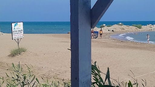 Yorum fotoğrafı 4